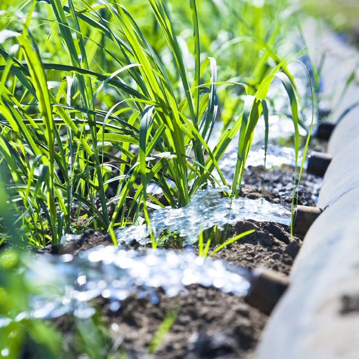 Sustainability